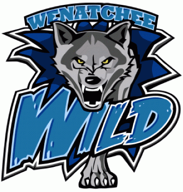 wenatchee wild 2008 09-pres primary logo iron on transfers for T-shirts